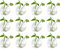 Nuptio 12 Pezzi Fioriere in Vetro Appese a Parete Diametro 10cm Vaso Rotondo in Vetro Vaso per Piante - Vasi per Piantare Acqua Vaso per Fiori Ad Aria Terrari Contenitore per Piante