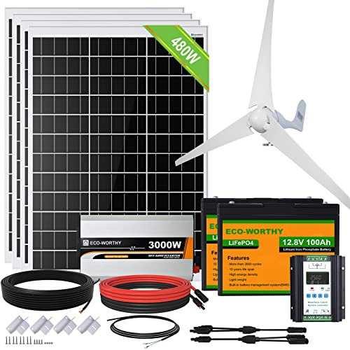 ECO-WORTHY 24V 880W Solar Wind Turbine Generator kit with Lithium Battery Inverter for Home:400W Wind Turbine Generator + 4 * 120W Mono Solar Panel + 2 * 100AH LiFepo4 Battery + 3000W 24V Inverter¡