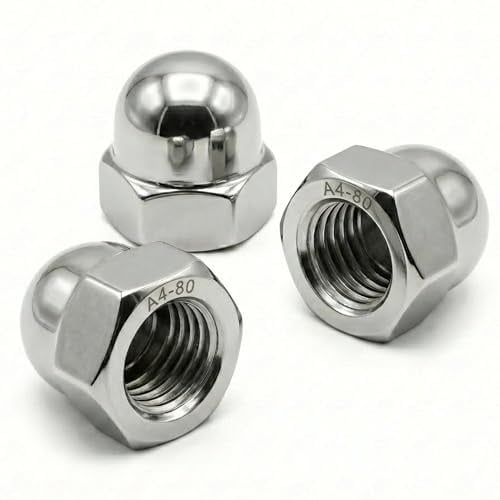 PRORAJE Dadi ciechi in acciaio inox M10 (set di 10) | Dado cieco esagonale DIN 1587 | Acciaio inossidabile A4-080 (V4A/AISI 316) | Cupola protezione viti Ø 10 mm
