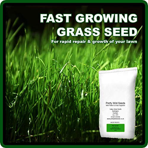 5Kg Rapid PRO Seed Premium Quality Grass Seed Hard Wearing Lawn 5kg