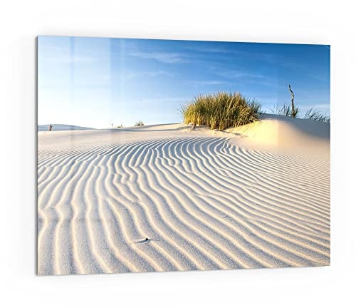 DEQORI Küchenrückwand Glas | Motiv Sanddüne Ostseeküste | 80x60 cm | Bad- oder Herd-Rückwand | Herdblende Spritzschutz für Küche & Badezimmer | Moderne Deko für Fliesenspiegel