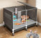 ZSXZCBDQ Cage À Lapin D'intérieur, Cage À Lapin De Luxe, Cage À Cobaye, Façade Transparente,(Black,70 * 45 * 45cm)