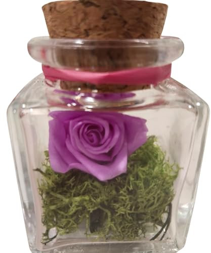 Genérico Rosa Eterna Morada Lavanda. Mini. Cubo de Vidrio. Rosa Morada Natural preservada eterna. Musgo preservado.