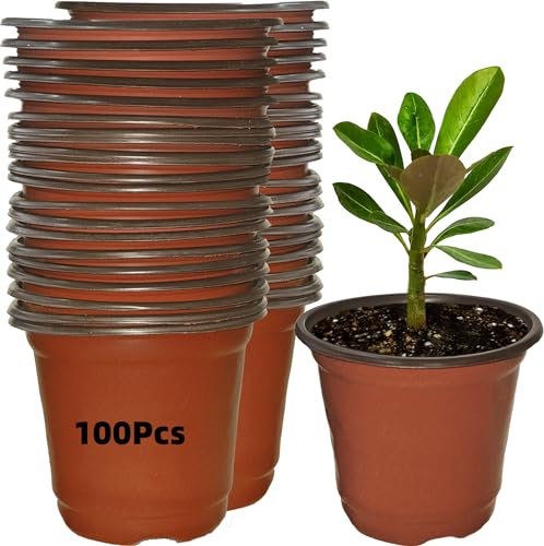 Olicky Lot de 100 pots de fleurs en plastique de 10 cm, pots de fleurs réutilisables pour démarrage de semis pour intérieur et extérieur, pots de fleurs pour légumes, herbes et plantes succulentes