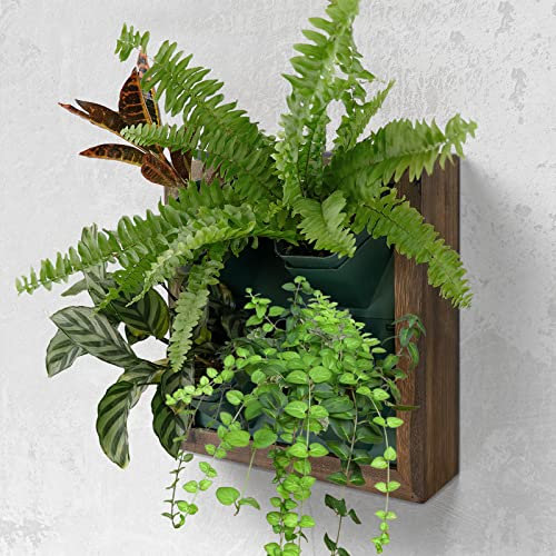 QUOAOT Vertical Wall Planter, 4 Pots Self Watering Living Planters Indoor, Wooden Frame Planter Wall Decoration Home Office (No Screw)