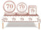 53Pcs Rose Gold Happy 70th Birthday Party Tableware Set - Plastic Table Cloth, Paper Plates, Napkins, Disposable Tableware Kit for Women's 70th Birthday Decorations