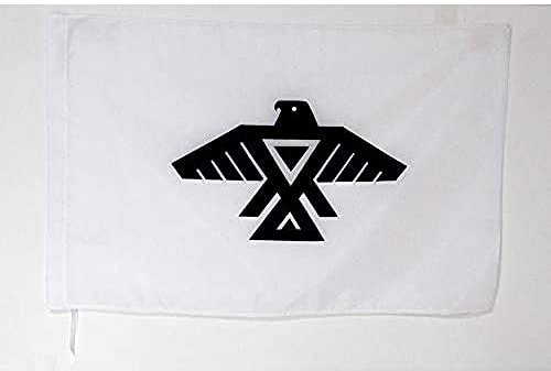 AZ FLAG - Flagge Anishinaabe Von Ontario - 90x60 cm - Anishnabeg Fahne 60 x 90 Cm Scheide Für Mast - Flaggen