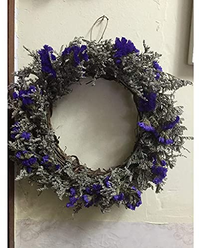 FLXHSA Weihnachtskranz, dekorativer Kranz, 22,9 cm, natürlicher getrockneter Blumenkranz, für den Außenbereich, Haustür, Innenbereich, Hochzeit, Wand- oder Fensterdekoration, Kranz
