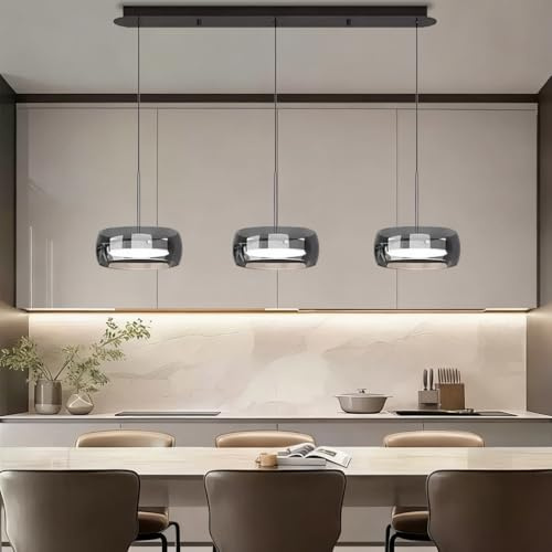 PANNN Suspension LED Contemporaine Lustre En Verre Fumé Lustre De Style Industriel Lamp Pour Table À Manger Réglable En Hauteur Convient Pour Salon Cuisine Chambre À Coucher Éclairage Décoratif(A2)