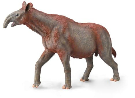 Collecta Paracera Therium