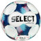 Select Brillant Training DB v25 FIFA Basic Ball 120075, Unisex Footballs, White, 4 EU