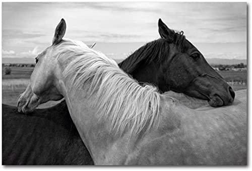 PUZZLECABIN Puzzle für Erwachsene, 1500 Teile, Pferd, Handwerk, Geschenk, Familie, klassisches Puzzle