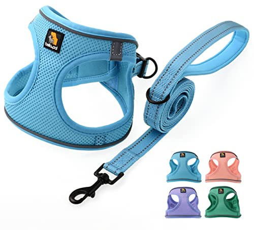 BELLA & PAL Hundegeschirr Kleine Hunde mit Leine, Step-in Geschirr aus Air Mesh, Anti Zug Reflektierend Atmungsaktiv Brustgeschirr, Welpengeschirr für Kleine Hunde, Katzengeschirr, Blau, S