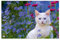 VELOFLEX 4651099 - Schreibtischunterlage Katze, 40 x 60 cm, rutschfest, abwaschbar, mit transparenter Antireflex-Schutzfolie, Schreibtischauflage, Malunterlage, Bastelunterlage, 1 Stück