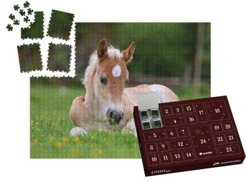 puzzleYOU: Puzzle-Adventskalender | „Wunderschönes Fohlen im Gras“ – aus der Puzzle-Kollektion Fohlen, Pferde