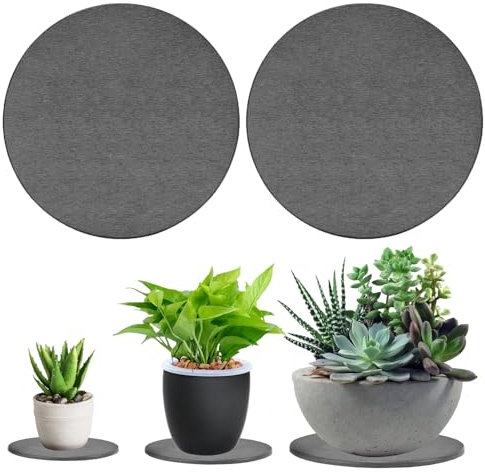Lot de 2 soucoupes en pierre de diatomite à séchage rapide pour pots de fleurs d'intérieur, super absorbantes et durables, 30 cm, séchage instantané