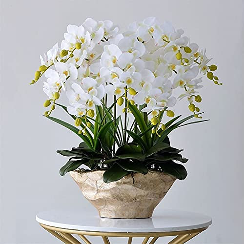XFZJCHAP Fiore Artificiale in Vaso Orchidea Artificiale con Vaso Grande Fiore Finto falaenopsis Piante finte Bianche, Giallo 68 cm