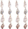 SUNNYCLUE 1 Box 16 Stück 4 Stile Natürliche Sprial-Muschel-Anhänger Muschelschalen-Charms Mit Eisenbeschichteter Doppelschlaufe Und Bügel Für Halsketten-Armband-Ohrring-Herstellung