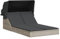 vidaXL Chaise Longue Double avec auvent et Coussins Gris Clair rotin