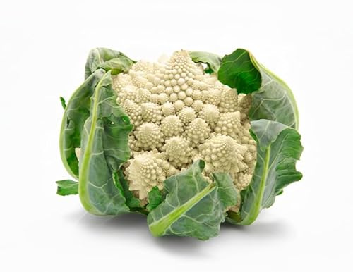 Semillas Coliflor Precoz de Jesi 6g | Coliflor Blanco Variedad Precoz | Semillas Alta Germinación | Cosecha Rápido y Productivo | Ideales para Huerto, Maceta y Invernadero | Multiseme