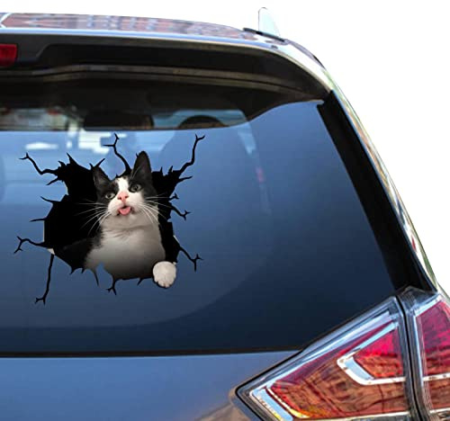Smoking Cat Decals Cute Cat Sticker Meme Bumper Vehicles Sticker for Farmer Bumber Tractor