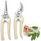 SilverChry Gartenarbeit Schere, Gartenschere Set 2pcs, Pflanzenschere Mini, Rosenschere Feder, Blumenschere für Schnittblumen Gardena, Garden Shears Set, Astscheren, Ernteschere Gardena