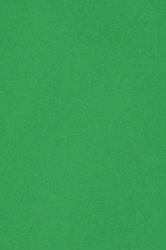 Netuno 20 x Tonkarton DIN A4 210x 297 mm Grün 250g Burano Verde Bandiera Bastel-Karton farbig Fotokarton A4 bunt Karton Hochzeit Taufe Weihnachten Geburtstag DIY-Karten buntes Tonpapier