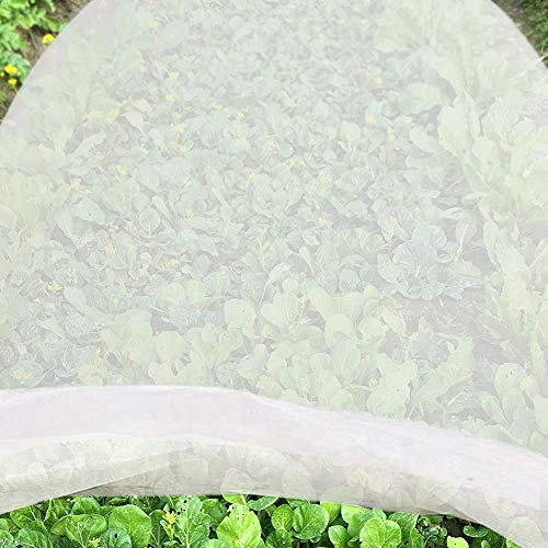 Jycra Housse de protection anti-gel en tissu non tissé pour plantes, Non-tissé, blanc, 2m x 10m