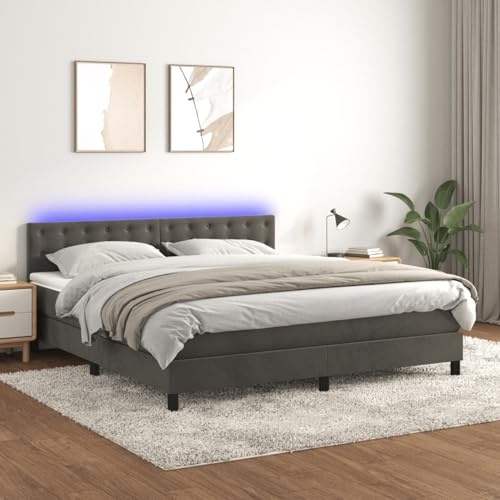 IKAYAA Boxspringbett mit Matratze 160 x 200 Bett mit LED Beleuchtung & Topper Boxspringbett 160 x 200 cm Bett mit Matratze und Lattenrost Bett komplett mit Kopfteil Samt-Dunkelgrau-160 x 200 cm