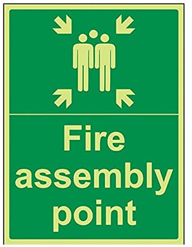VSafety 17015BC-G Fire Assembly Point Sign, Fire Assembly Point with Family, Plastic, Portrait, 300 mm x 400 mm, Green