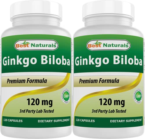 Best Naturals, Ginkgo Biloba Extract - Double Strength Ginkgo Biloba, 120mg, 120 Capsules (120 Count (Pack of 2))