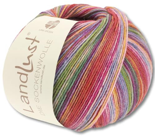 Frida's Wollhaus Lana Grossa 100 g Landlust die Sockenwolle 4-fädig Stricken Wolle Garn 33 Farben (803)