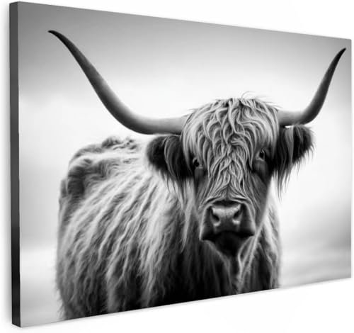 HJYTTX Hochlandrind Wandkunst, Schwarz Weiß Leinwand Bild, Wanddeko Wohnzimmer Aesthetic Room Decor Deko Zimmer Wandbilder Modern Gemälde Wandbild Schottisches Hochlandrind mit Rahmen, 30x40cm