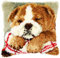 ROCKY&CHAO Myriad Choices DIY Latch Hook Kits 3D Stereo Embroidery Cushion Cover Cross Stitch Sofa Cushion Cover for Children and Adults Animal Picture