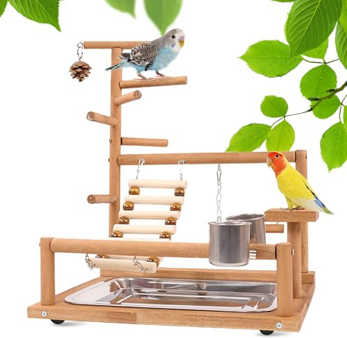 Vogelspielzeug, Papageienspielzeug, Wellensittich Spielzeug, Spielplatz Mit Feeder-Cup Spielzeug Leiter Erklimmen Schaukel Und Tablett Vogelschaukel Sitzplatz Für Sittiche Nymphensittich, 37x26x44CM