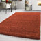 Teppium Moderner Hochflor Teppich Läufer Flur 100x200 cm Terrakotta - Shaggy Flauschiger Teppich, Weich, Pflegeleicht - Ideal als Bettvorleger im Schlafzimmer, Küchenläufer, Wohnzimmerteppich