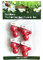 Bonvie.shop 4er-Pack Tischdeckenbeschwerer Tischdeckenhalter Früchte Tischdeckengewichte: Kirsche