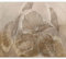 murando Fototapete Premium-Vlies beige Blätter 350x256cm Foto Tapete Schlafzimmer Vliestapete XXL Wandtapete Motivtapeten Bildtapete 3d Effekt Wand Dekoration Pflanze Natur gemalt