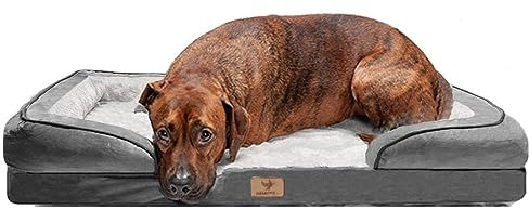 Traumreiter Orthopädisches Hundebett für Große und Mittlere Hunde, Grau, ca. 135x100 cm (Innenmaß ca. 113x78 cm) - Hundekörbchen, Hundekorb, Hundekissen, Hundesofa, Bettchen