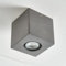 famlights | Deckenaufbauleuchte Luis aus Beton in Grau GU10 1 x 6 W