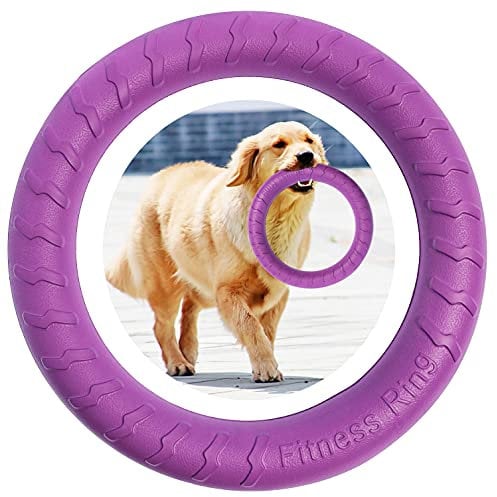 MMSGA Hunde-Fitness-Ring Hundebiss-Ring Hunde-Trainingsring, Haustier Hund Outdoor-Spiel Agility Trainingsgeräte, Tauziehen Interaktiver Trainingsring für Kleine mittelgroße Große Hunde (Lila, 30CM)