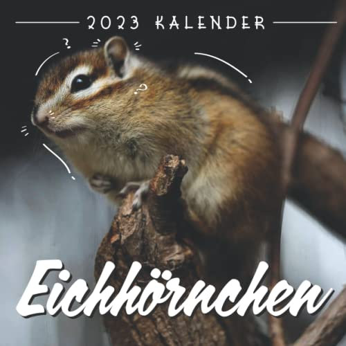 Eichhörnchen Kalender 2023: 12-Monats-Kalender von Jan 2023 bis Dez 2023. Platz für Notizen. Es ist ein perfektes Geschenk für einen geliebten Menschen