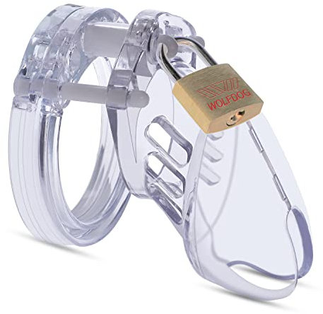 Peniskäfig Chastity Cage Male - Leichten 6CM Bondage Keuschheitskäfig Herren Chastity Cage, Keuschheitsgürtel für Herren mit Schloss 4 Penisring, Penis Käfig Sex Spielzeug für die Männer Paare Extrem