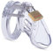 Peniskäfig Chastity Cage Male - Leichten 6CM Bondage Keuschheitskäfig Herren Chastity Cage, Keuschheitsgürtel für Herren mit Schloss 4 Penisring, Penis Käfig Sex Spielzeug für die Männer Paare Extrem