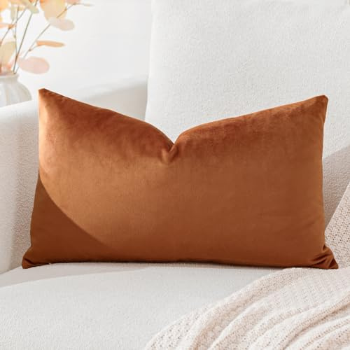 Artscope Samt Kissenbezug Kissenhülle Dekorative Dekokissen Sofakissen Lendenkissen Wurfkissenbezug Sofa Schlafzimmer 30x50cm Orange