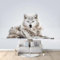Animal Arctic Wolf Photo Wallpaper 250 x 175 cm Removable Photo Mural for Nursery Bedroom Living Room Art Home Decor Wall Mural Decoration