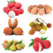 litschi litschibaum samen, winterharte pflanzen für balkon litschi baum samen, bonsaibaum, hochbeet samen balkonpflanzen winterhart bäume garten winterhart pflanzen anzucht, bonsai 5pcs