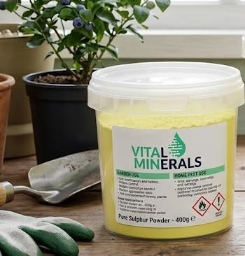 Premium Pure Sulphur Powder - 1Kg - High-Purity Flowers of Sulphur - Natural Garden Soil Acidifier, Traditional Home Fungicide & Pet Care Essential - Horticultural Grade Fertilizer