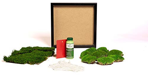 DIY Moosbild selber machen, Wandbilder selber kleben, Moosbilder selbst gestalten Do it yourself Set Moos kleben Wanddeko selbst herstellen Komplett-Set Holzrahmen (schwarz, 35 x 35 cm)
