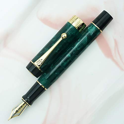 Jinhao 100 Classic Fountain Pen, Extra Fine Nib Green Celluloid with Converter and Metal Pen Case Set